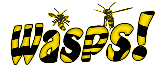 Wasps Logo